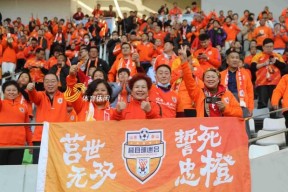 山东泰山训练开放日，清晨刷新队史纪录引欢呼，亚冠在即，年轻球员得到机会的简单介绍